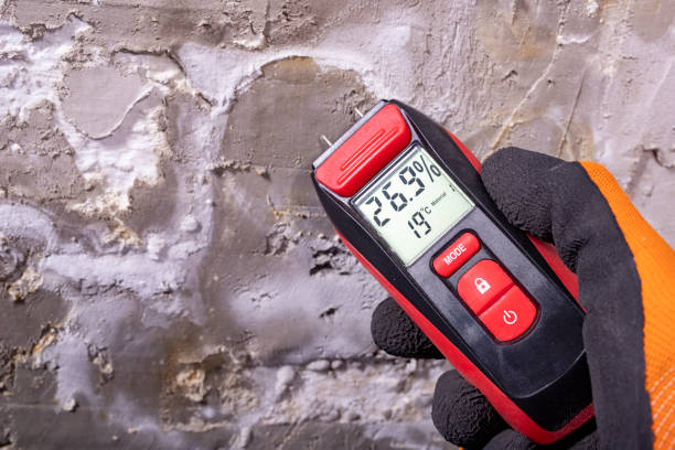 Mold Removal and Inspection in Lovettsville, VA