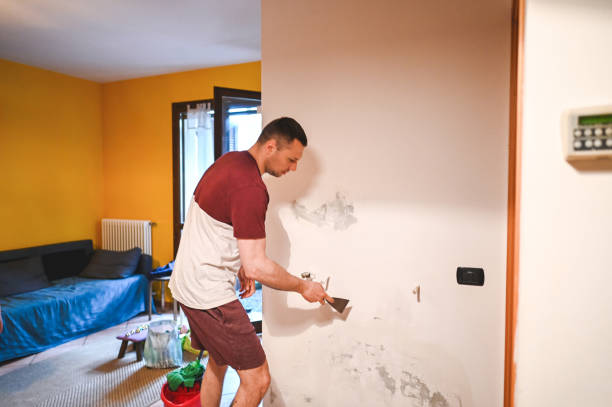 Best Home Mold Removal  in Lovettsville, VA